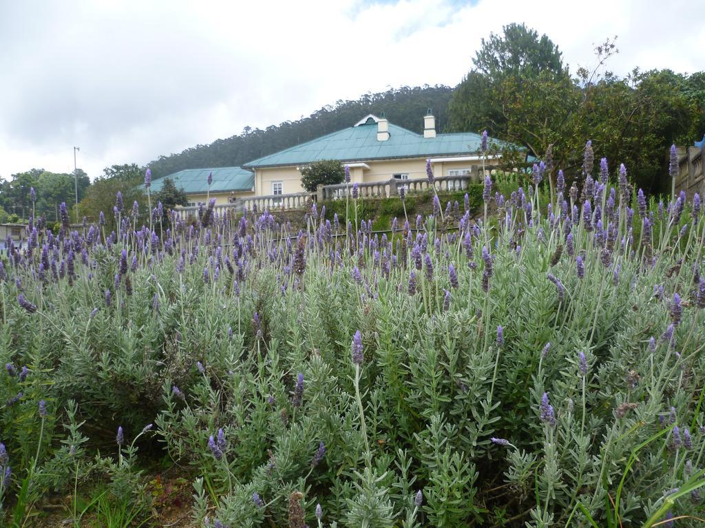 Senani Colonial Holiday Bungalow Nuwara Eliya Værelse billede