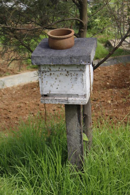 Senani Colonial Holiday Bungalow Nuwara Eliya Eksteriør billede