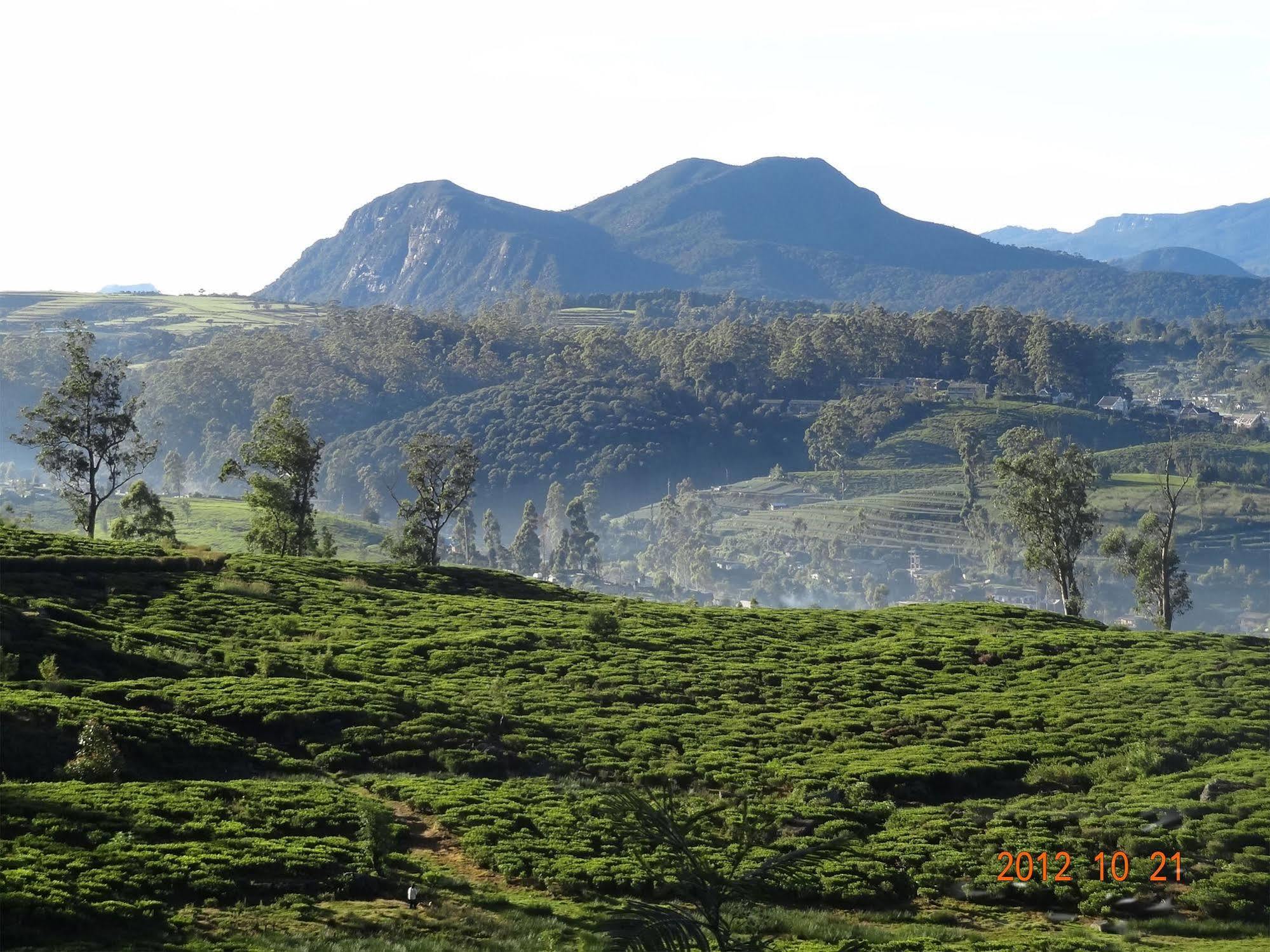 Senani Colonial Holiday Bungalow Nuwara Eliya Eksteriør billede